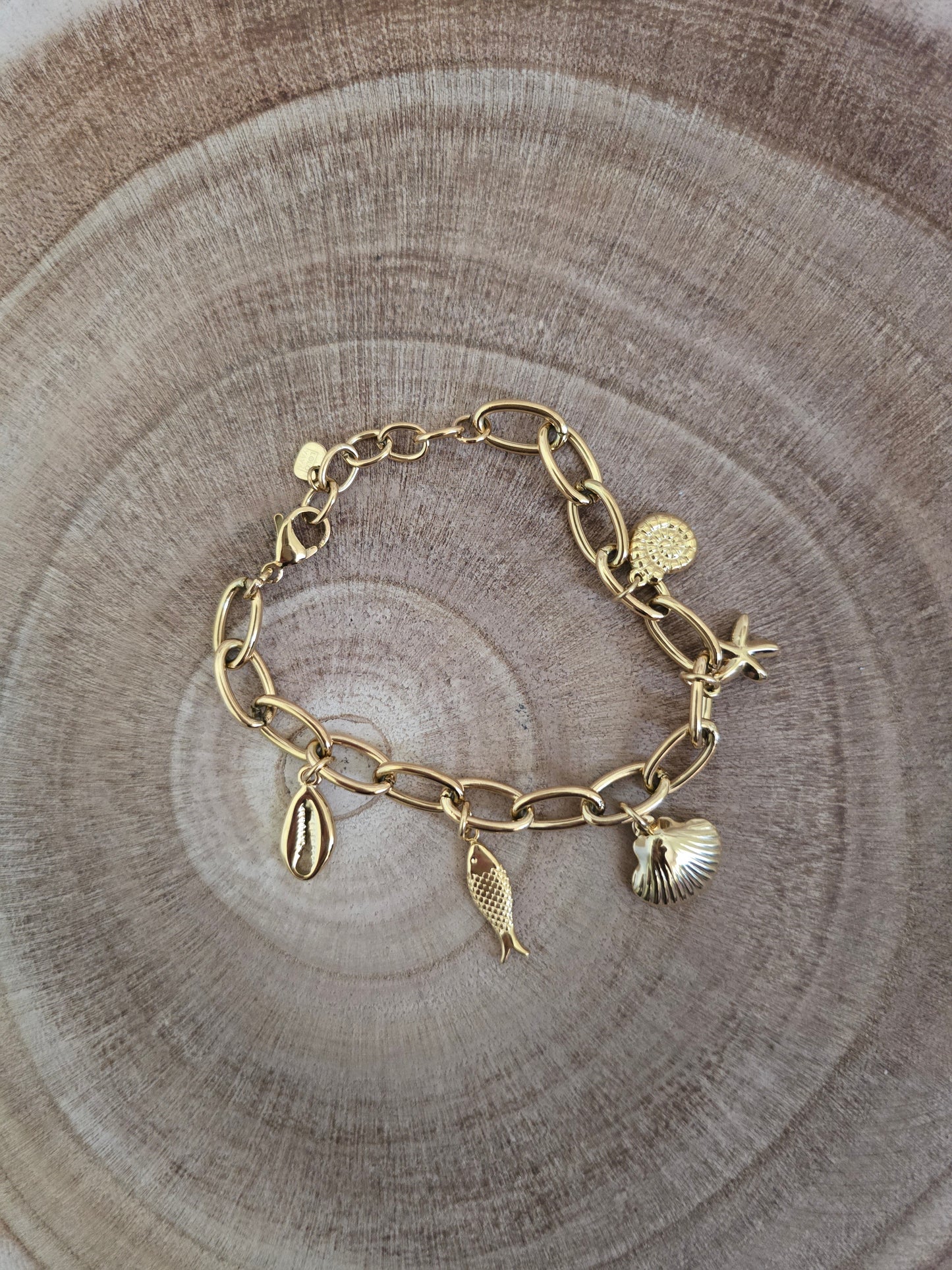Bracelet Cauri