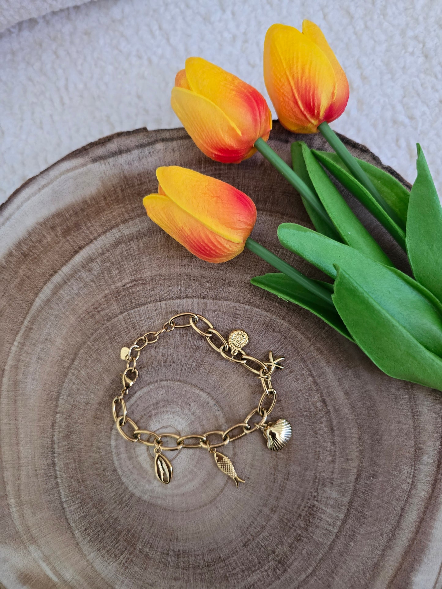 Bracelet Cauri