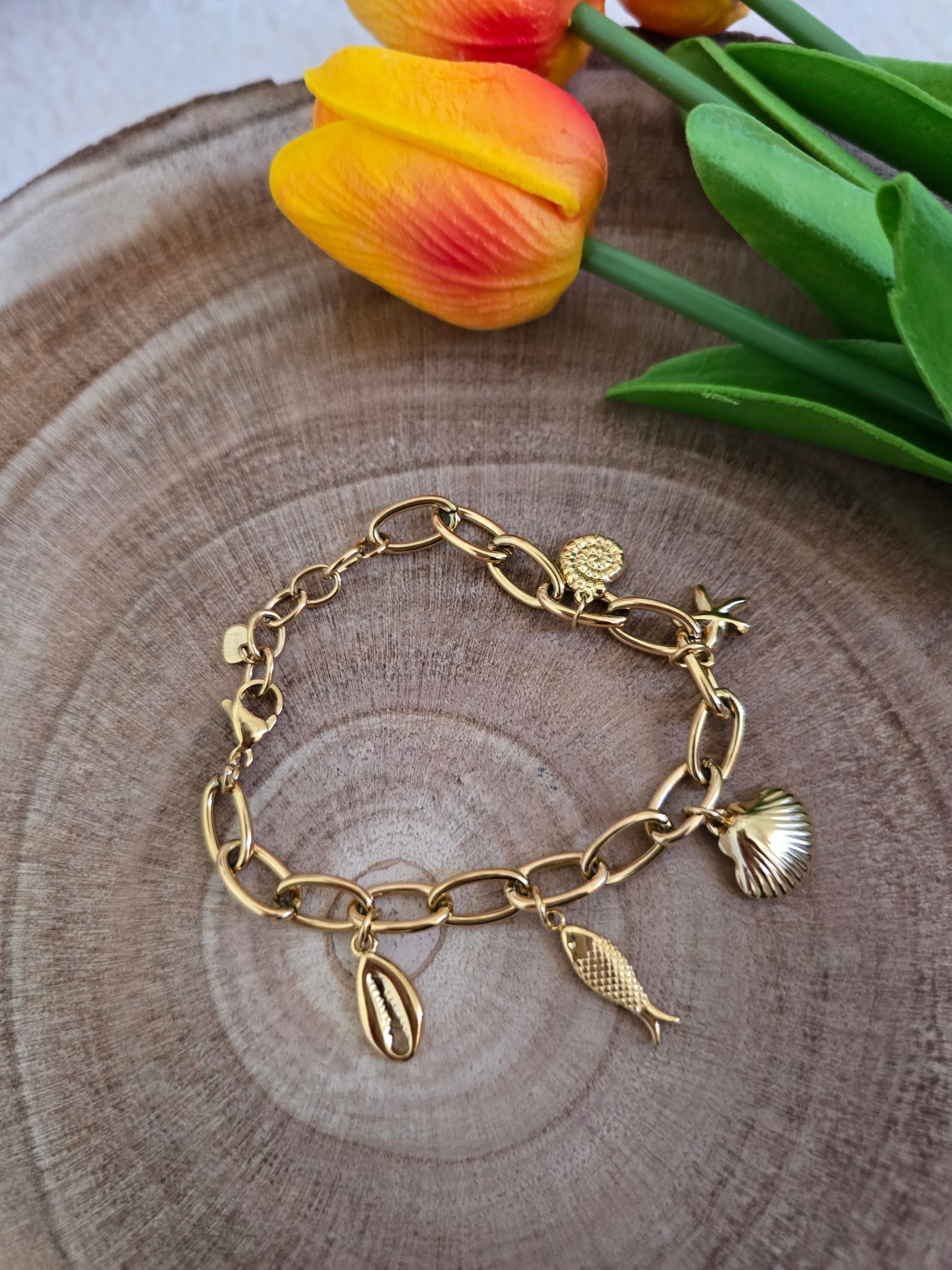 Bracelet Cauri