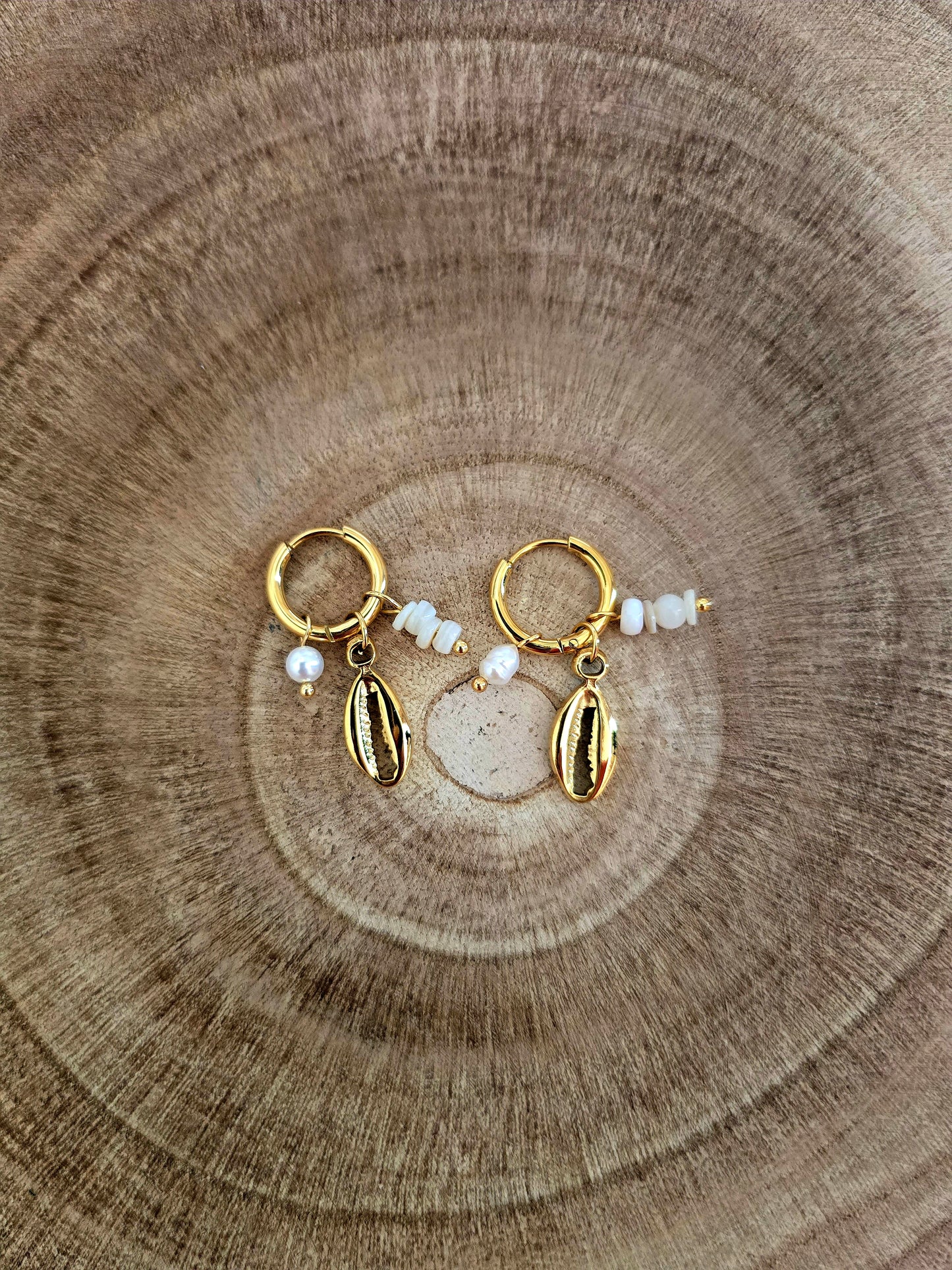 Boucles d'oreilles Cauri