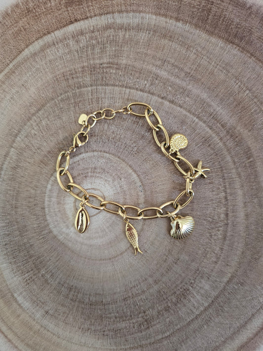 Bracelet Cauri
