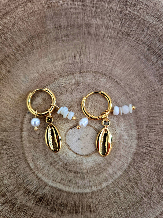 Boucles d'oreilles Cauri